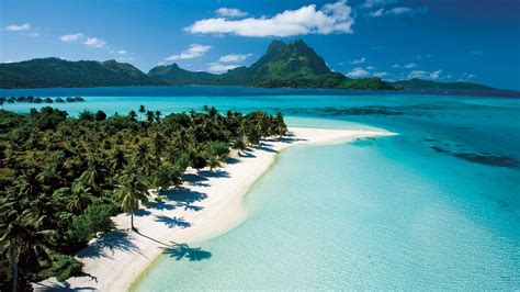 Tropical Island Porn Videos .